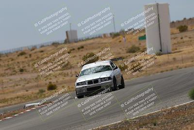 media/May-03-2025-Lucky Dog Racing (Sat) [[206de64b9d]]/Turn 6 (150pm-230pm)/